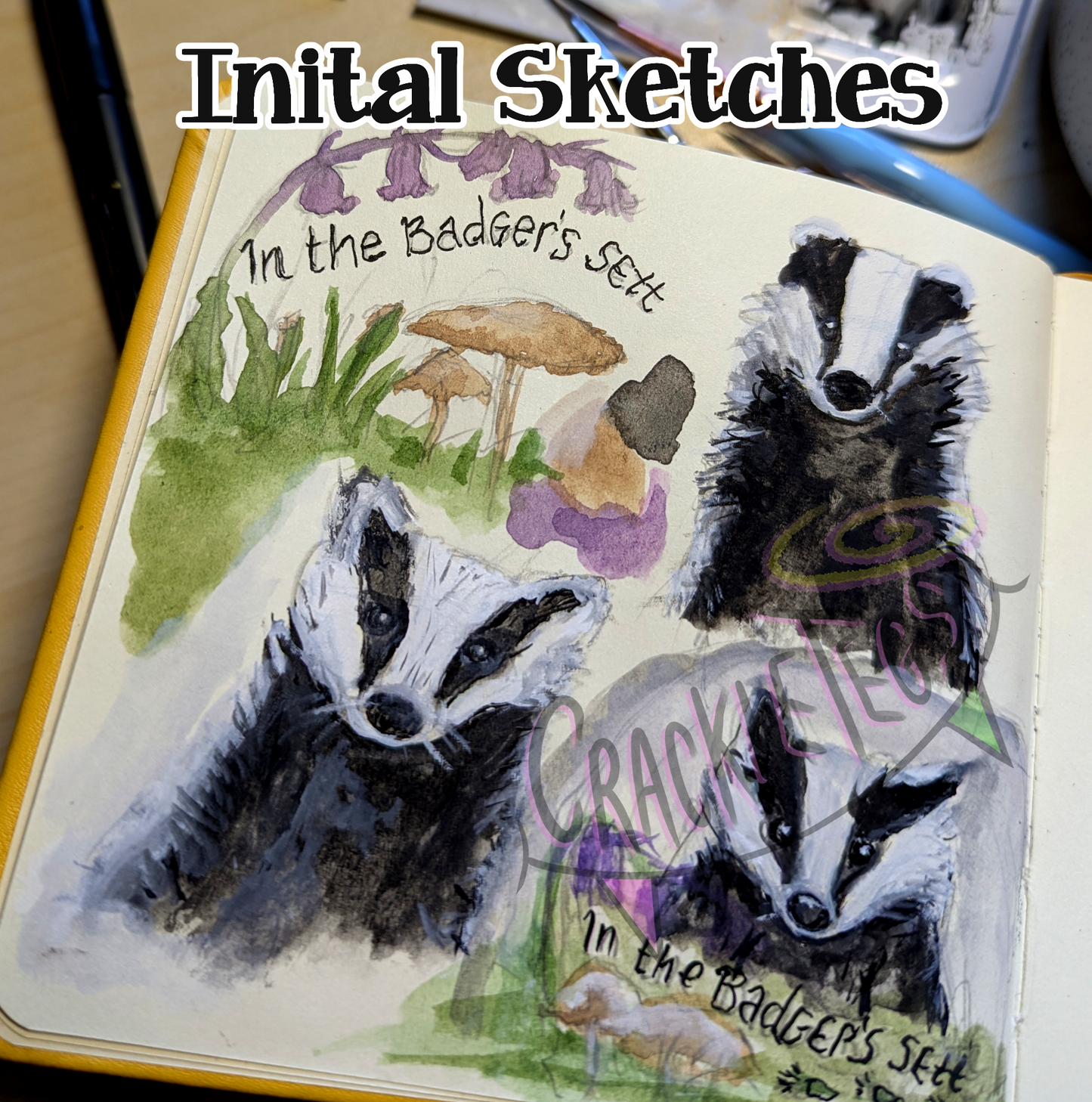 Custom Order For Edwige!